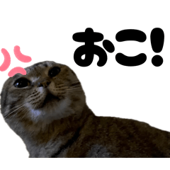nya_20260512171710