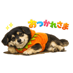 PET can9