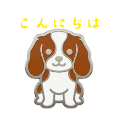 cavata_20260512171706
