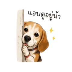 Mr.Wan & The Chonky Dog Vol.2