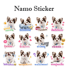 Namostickerkub2