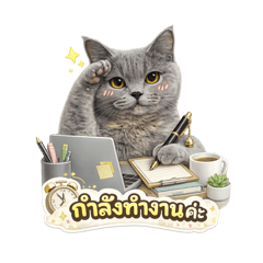 Office Cat Everyday