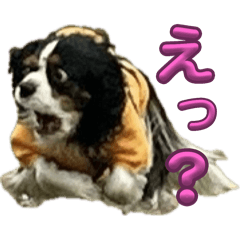 56_20260512173211