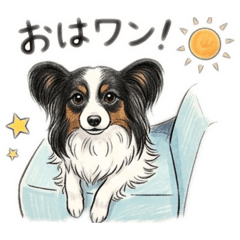 パピヨン里芋
