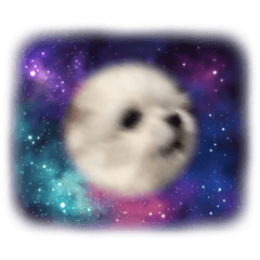 neco_20260512173055