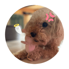 kiho_20260512173629