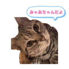pina_20260512173312