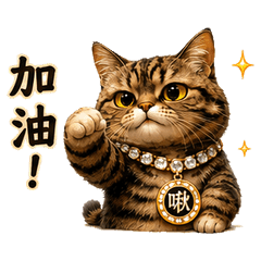金啾娜之啾啾的日常生活