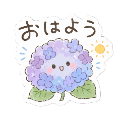 KAE_20260512155709