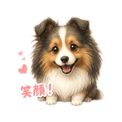 corochan_20260512163843