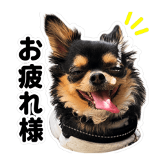 raikun_20260512161116