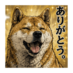 anemaru._20260512165451