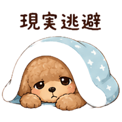 negative poodle dog