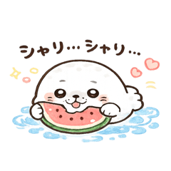 A spotted seal pup enjoying summer.