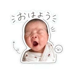 pandaisuki_20260512180358