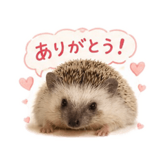 tomo_20260512180509