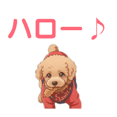 leo_leo_stamp_leo_leo_20260512180438