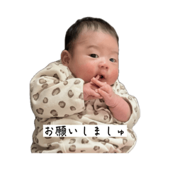 yeeeer_20260512181654