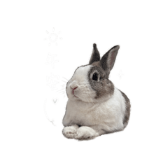 飯糰寶寶⋆♡
