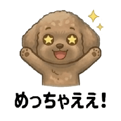 riku170601_2026051218443