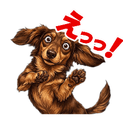 Animalcreation_20260516062926