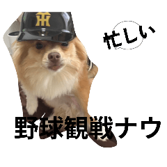 yu_20260512211833
