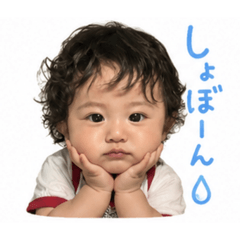 HAMASHION_20260512221118