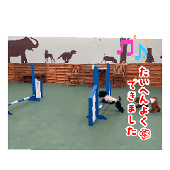 MASAOKA TORAI_20260515193604