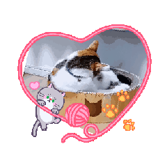 neko222gogo_20260515175338