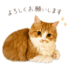 hatarakanai_20260512221331