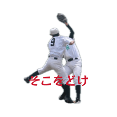 dkwpjd