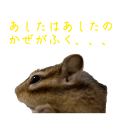 riii_20260512190938