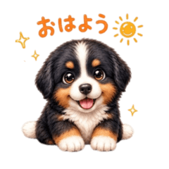 Kotastamp_20260512201425