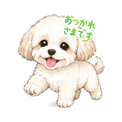 saw_20260511232622