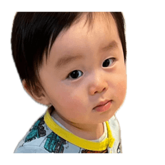 tk_20260512222512