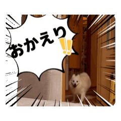 Mieee_20260515203254