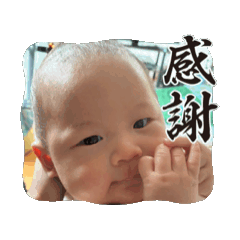 gyoza_20260516001258