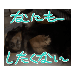maron_20260516002848