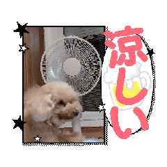 Riri_20260516084017