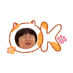 panda_20260516094522