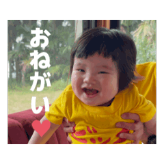 bitdesuyo_20260516053454