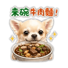 吉娃娃就愛吃