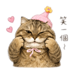 黃Q比的日常生活