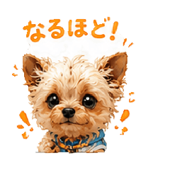 I see_20260512191722