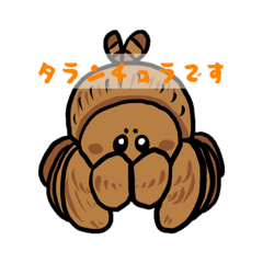 sinkai_20260512201725