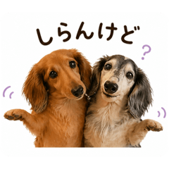 I like dogs_20260512192346