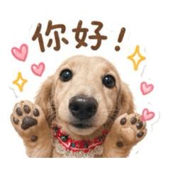 糯米腸Q醬