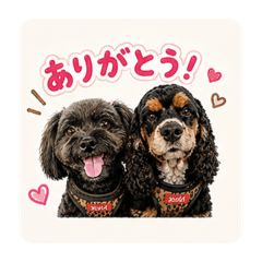 POPU_20260512192951