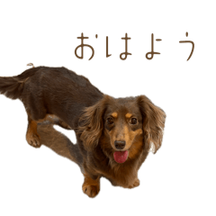 m_20260512205319
