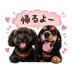 popu_20260512194611